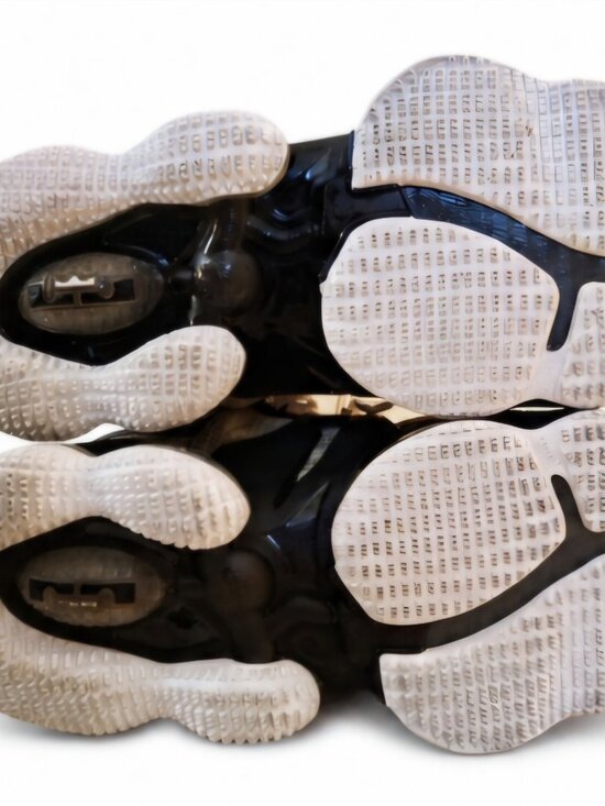 Nike LeBron James Basketball Shoes \